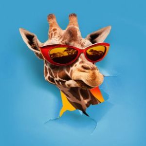 SIMPLY-RADIO_SIMPLY_RADIO_ITALIA_ITALIANA_TIVù_TV_top_pop_musica_italia_roma_lazio_novita_novità_new_hit_top40_chart_uk_AMAZON_android_apple_APP_skill_takagi_ketra_omi_giusy_ferreri_jambo