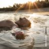 SIMPLY-RADIO_SIMPLYRADIO_SIMPLY_RADIO_ITALIA_ITALIANA_TIVù_TV_top_pop_musica_italia_roma_lazio_novita_novità_new_hit_top40_chart_uk_AMAZON_android_apple_APP_rocco_hunt_ti_volevo_dedicare