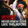 QUINZE & BOB SINCLAR - Never Knew Love Like This Before (Radio Date: 24-03-2023)